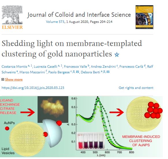 A paper published in Journal of Colloid and Interface Science, on the interaction between gold nanoparticles and synthetic liposomes.